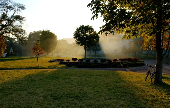 Картинка осень, трава, листья, солнце, лучи, деревья, велосипед, парк