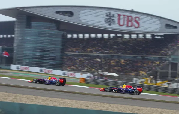 China, Race, 2014, Red Bull Racing