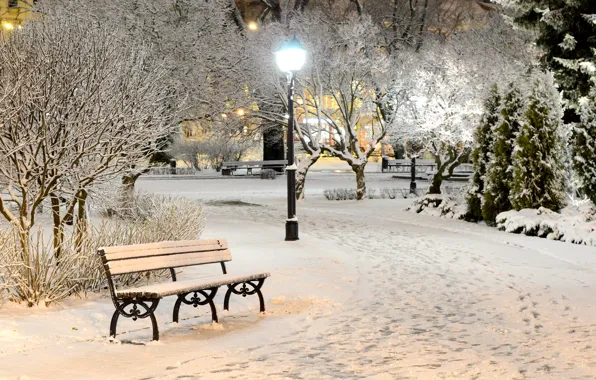 Картинка зима, свет, снег, деревья, скамейка, природа, парк, вечер