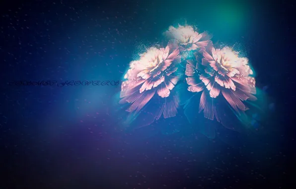 Цвета, туманность, dream, Цветок, Частицы, Cosmic, cosmic flowers, Вихрь