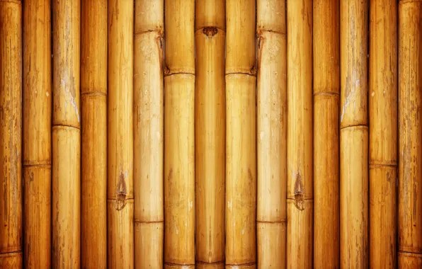 Wall, bamboo, Pattern