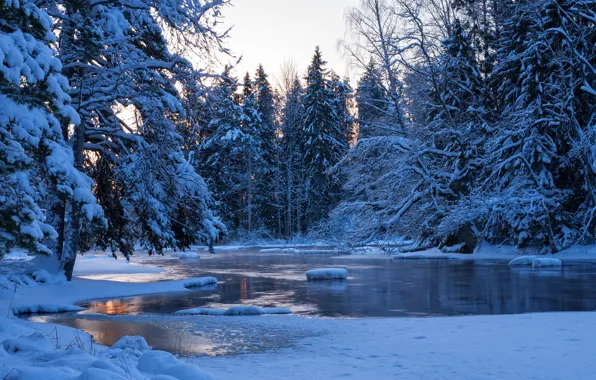Картинка зима, лес, вода, снег, деревья, пейзаж, природа, река