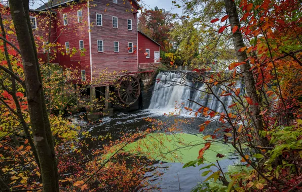 Картинка осень, лес, деревья, река, водопад, США, водяная мельница, Wisconsin