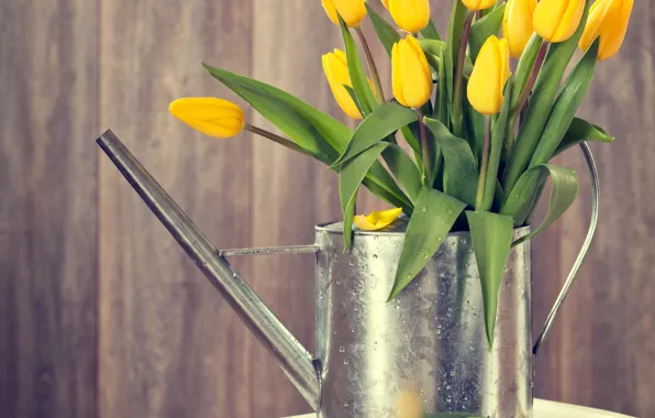 Дерево, весна, желтые, тюльпаны, лейка, wood, flowers, tulips