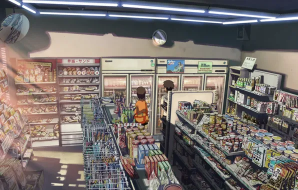 Двое, 5 сантиметров в секунду, журналы, магазин, полки, продукты, товар, 5 centimetrs per second