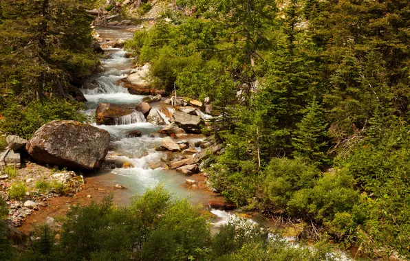 Картинка лес, деревья, ручей, камни, США, Glacier National Park, Montana