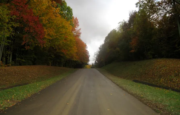 Дорога, осень, листья, деревья, Nature, листопад, road, trees