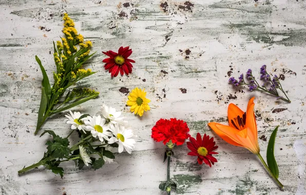 Цветы, colorful, wood, flowers, composition, floral