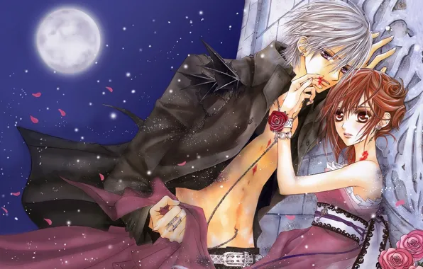 Девушка, ночь, луна, кровь, розы, лепестки, парень, vampire knight