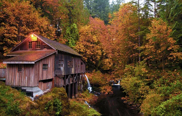 Картинка осень, лес, природа, дом, река
