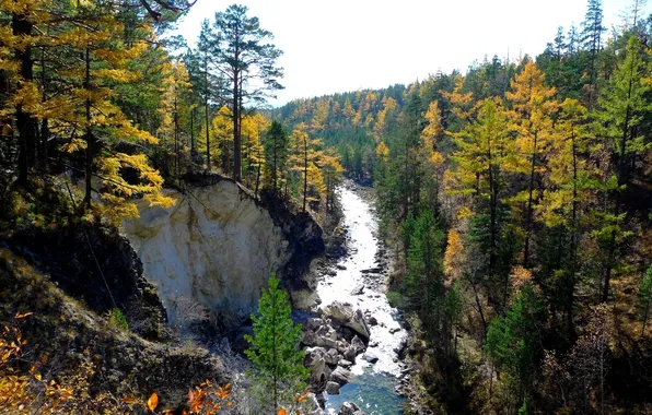 Картинка осень, лес, горы, река