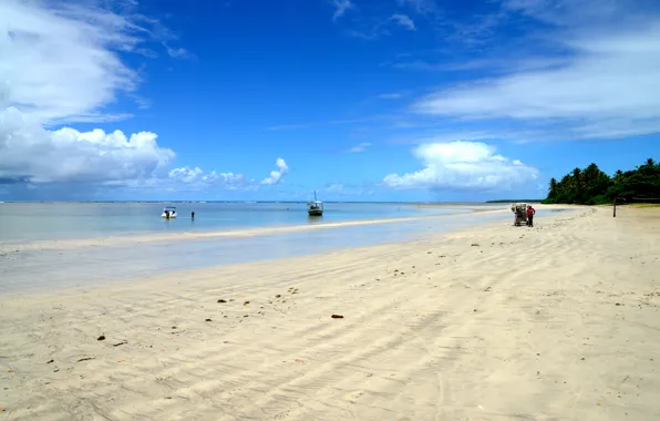 Nature, Landscapes, Brazil, Bahia, South American