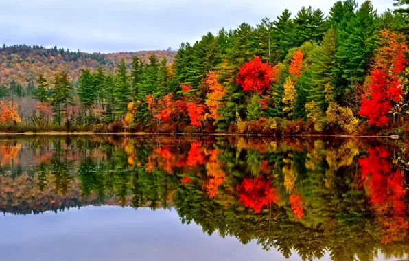 Картинка осень, лес, небо, горы, озеро, отражение