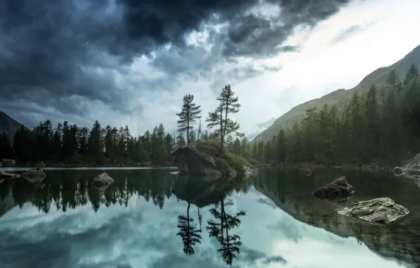 Картинка лес, природа, озеро, утро