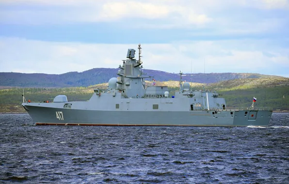 Фрегат, сторожевой корабль, адмирал горшков