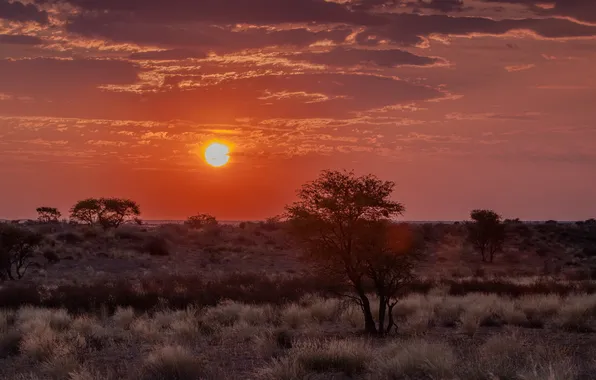 Картинка пейзаж, закат, Африка