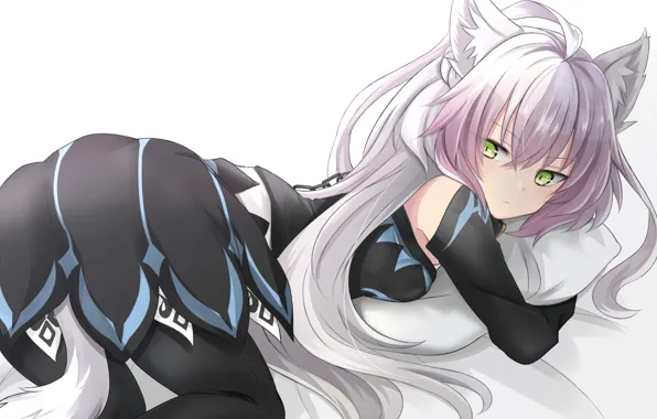 Девушка, Неко, Fate / Grand Order, Судьба великая кампания