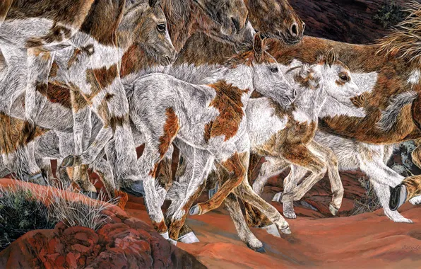 Камни, рисунок, графика, кони, картина, стилизация, лошади, арт