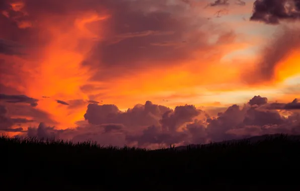 Небо, пейзаж, закат, sunset, Maui