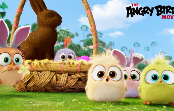 Картинка мультфильм, шоколад, птички, корзинка, зайчик, Angry Birds Movie