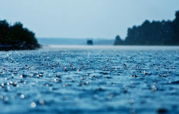 Дождь, капли воды, waterdrops, trees, rain, горизонт, sky, лес