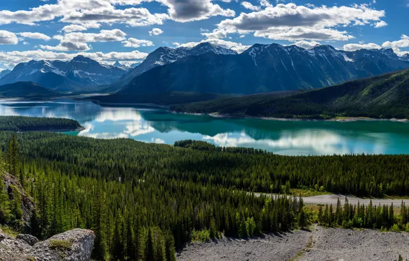 Картинка лес, горы, озеро, Канада, панорама, Альберта, Alberta, Canada