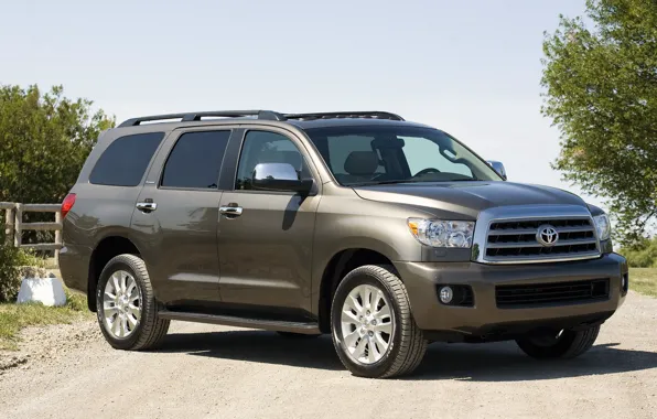 Внедорожник, toyota, platinum, sequoia