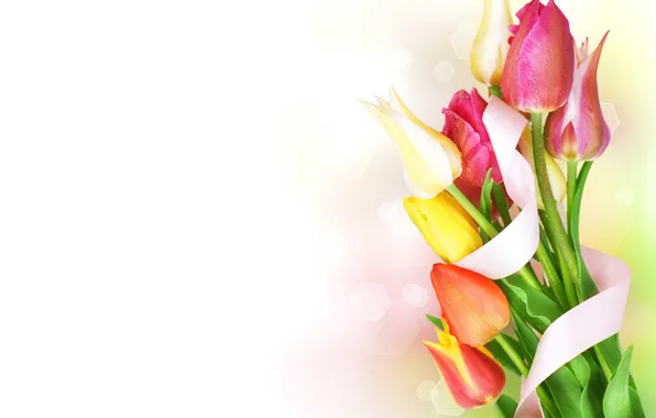 Капли, букет, лента, тюльпаны, flowers, beautiful, боке, spring