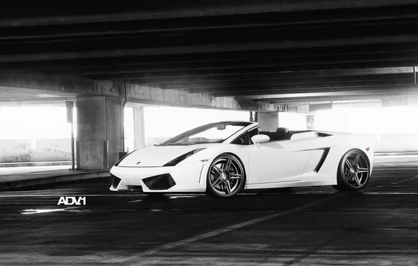 Картинка белый, Lamborghini, парковка, white, родстер, Gallardo, кабриолет, ламборджини