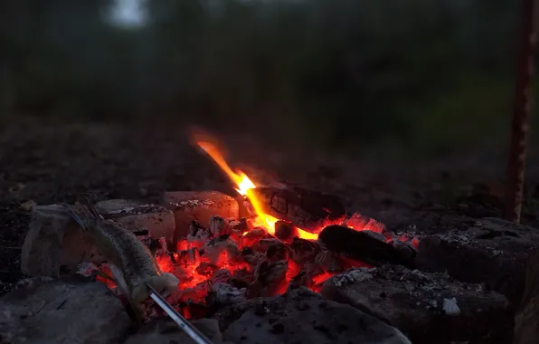 Огонь, угли, тлеют, щука на шампуре