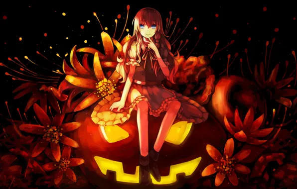 Картинка девушка, цветы, праздник, аниме, арт, тыква, halloween, touhou