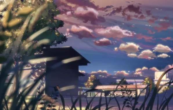Картинка лето, небо, облака, пейзаж, дерево, двор, 5 сантиметров в секунду, Макото Синкай