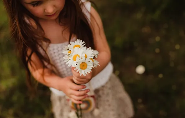 Картинка девочка, ромашки, цветы