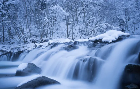 Холод, зима, иней, лес, вода, снег, ветки, природа