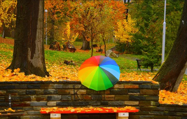 Картинка Осень, Деревья, Зонтик, Парк, Fall, Листва, Park, Autumn