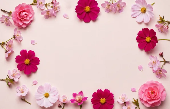 Цветы, рамка, colorful, pink, flowers, frame, floral