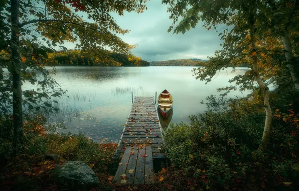 Картинка осень, деревья, озеро, лодка, Канада, Онтарио, Canada, Ontario