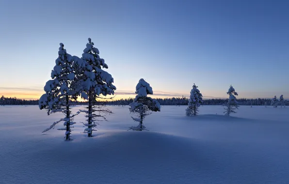 Зима, снег, утро, Finland, Lapland