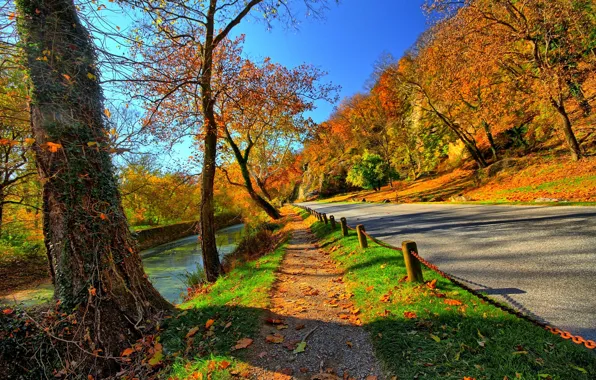 Картинка дорога, осень, лес, небо, листья, вода, деревья, горы