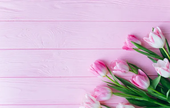 Картинка цветы, розовый, Тюльпаны, деревянный фон