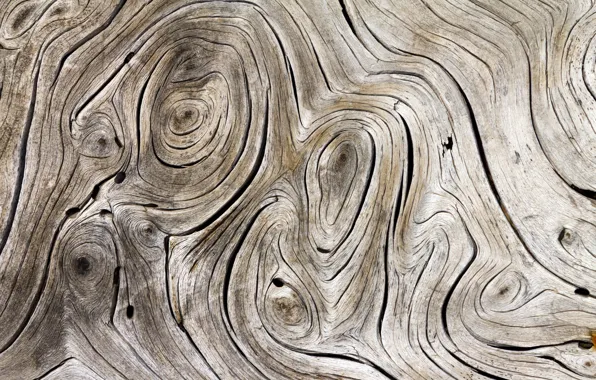Wood, gray, streaks
