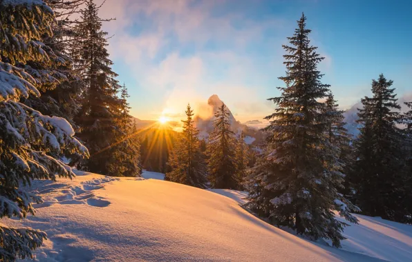 Картинка зима, солнце, лучи, свет, снег, горы, Альпы