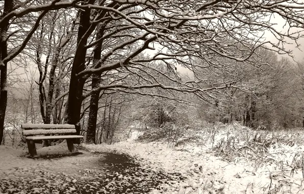 Картинка скамейка, Зима, сепия