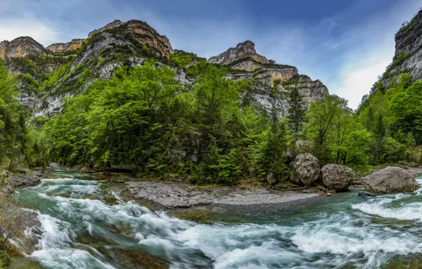 Лес, горы, река, камни, скалы, течение, поток