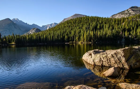 Картинка лес, деревья, горы, озеро, камни, США, Rocky Mountain National Park, Bear Lake