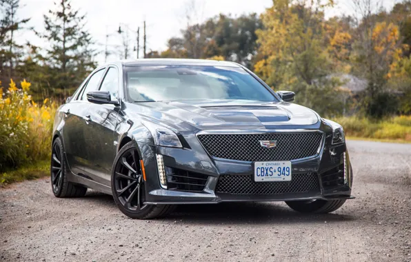 Дорога, car, машина, лес, Cadillac, чёрная, седан, black