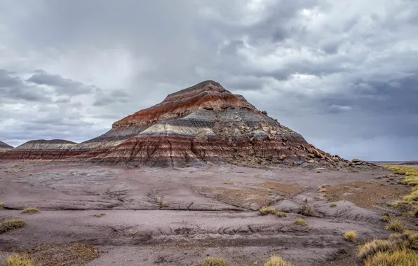 Пейзаж, гора, Аризона, США, Painted Desert