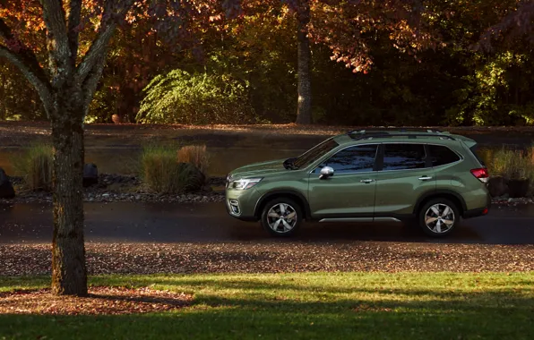 Subaru, вид сбоку, кроссовер, Forester, 2019