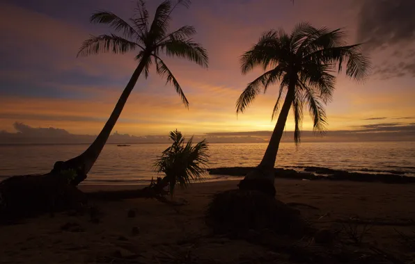 Картинка summer, beach, ocean, sunset, wave, palm, philippines
