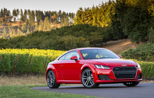 Картинка Audi, ауди, Coupe, quattro, TFSI, US-spec, 2015